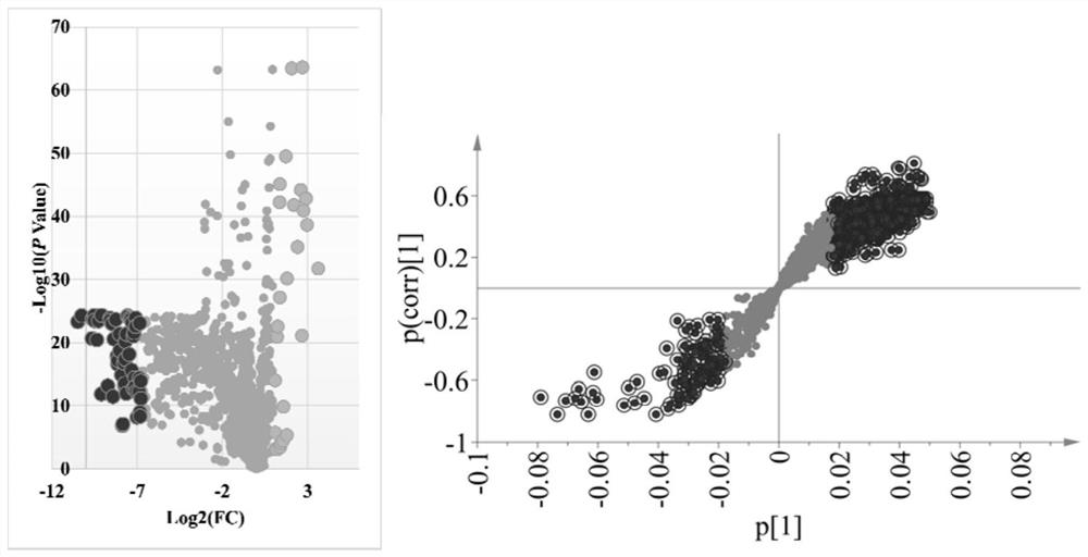 Marker screening identification and application of non-concentrated reduced apple juice based on non-targeted metabonomics