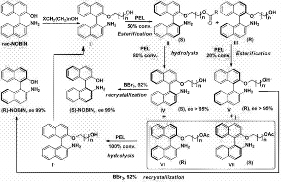 Enzymatic resolution method for optical pure 2-amino-2'-hydroxy-1,1'-binaphthyl