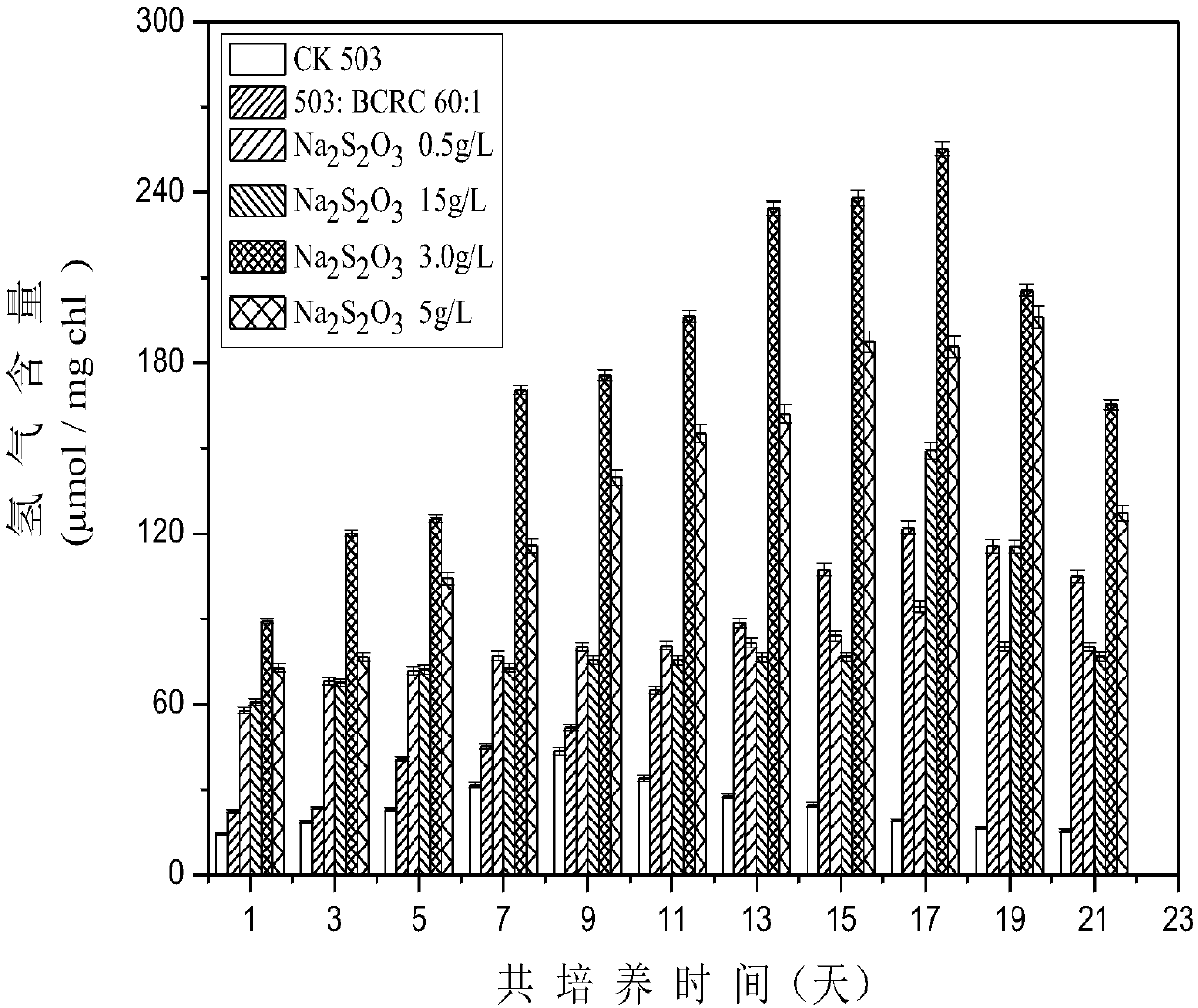 Method for improving hydrogen production quantity of photosynthetic microalgae through phycomycetes co-culture