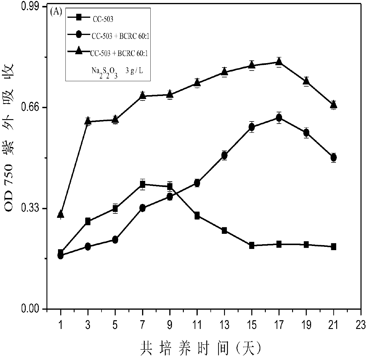 Method for improving hydrogen production quantity of photosynthetic microalgae through phycomycetes co-culture