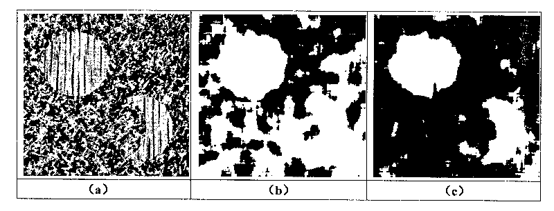 Image segmentation method based on characteristic importance sorting spectral clustering