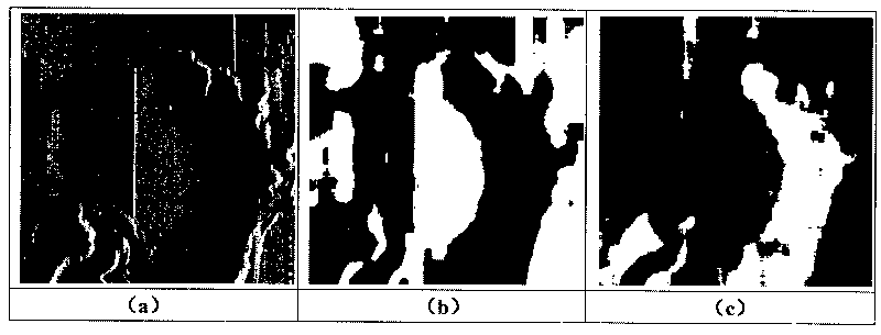 Image segmentation method based on characteristic importance sorting spectral clustering