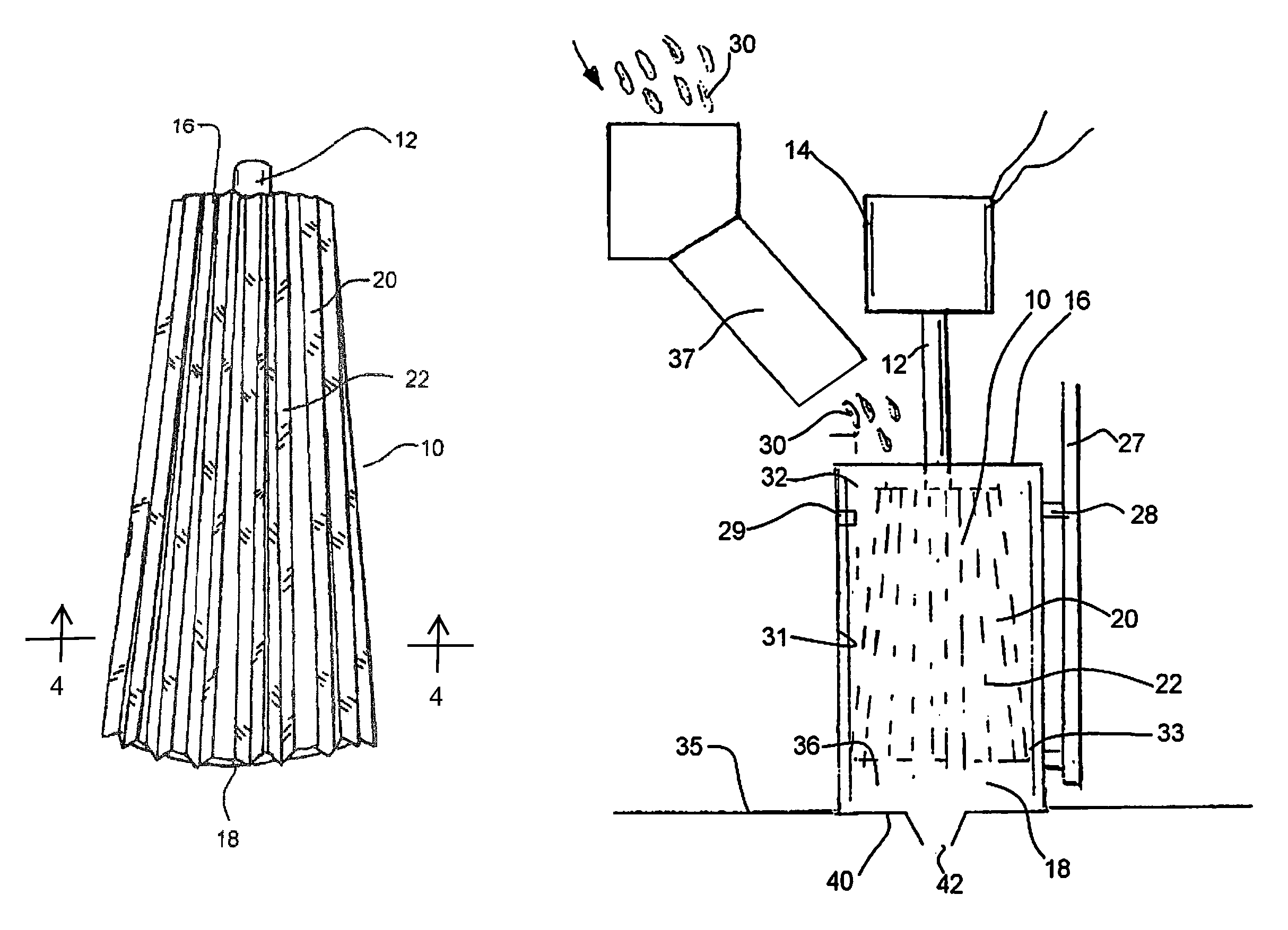 Pecan nut meat extractor