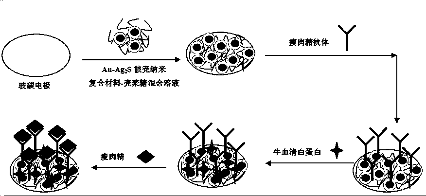 Preparation method and application of unmarked immunosensor for rapidly detecting clenbuterol