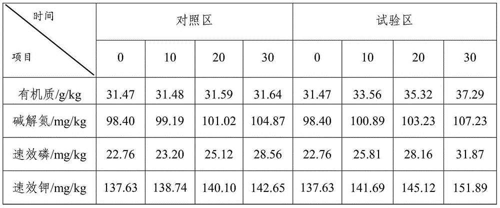 Bacterial manure for peanut planting and preparation method of bacterial manure