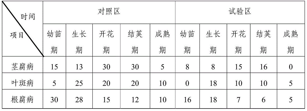 Bacterial manure for peanut planting and preparation method of bacterial manure