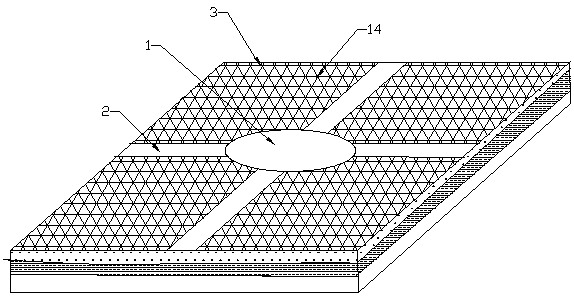 Rice and fish symbiotic planting and breeding system