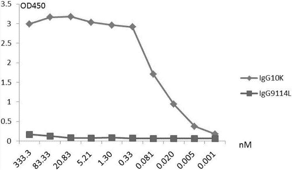 Humanized anti-H7N9 avian influenza virus high-affinity antibody 10K and application thereof