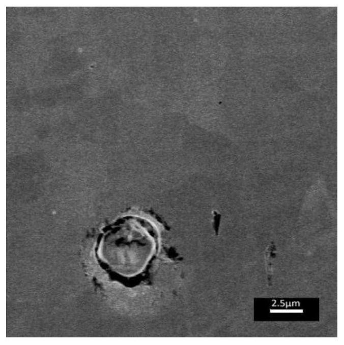 Non-metallic inclusion full-view-field quantitative statistical distribution characterization method