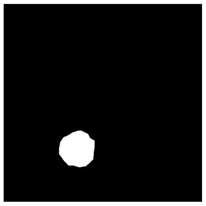 Non-metallic inclusion full-view-field quantitative statistical distribution characterization method