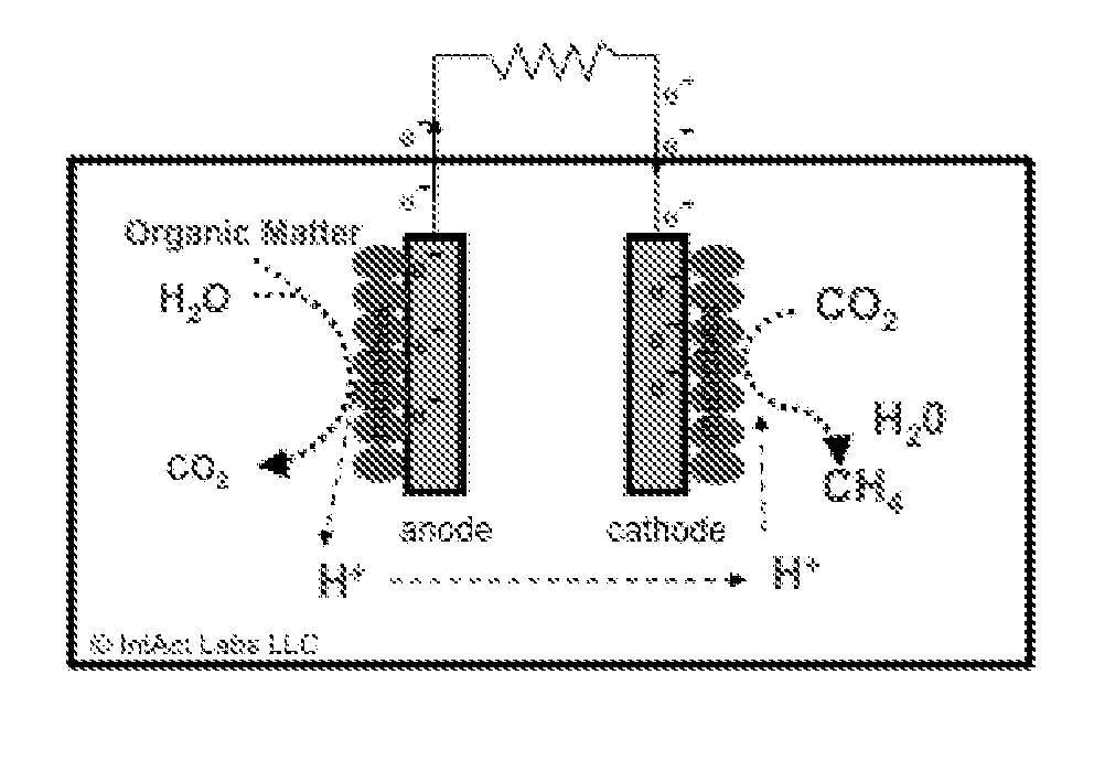 Bio-electrochemical system for treating wastewater