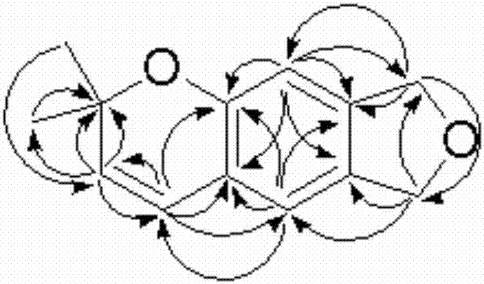 Isobenzofuran compound with effect of scavenging free radicals, and preparation method and application of isobenzofuran compound