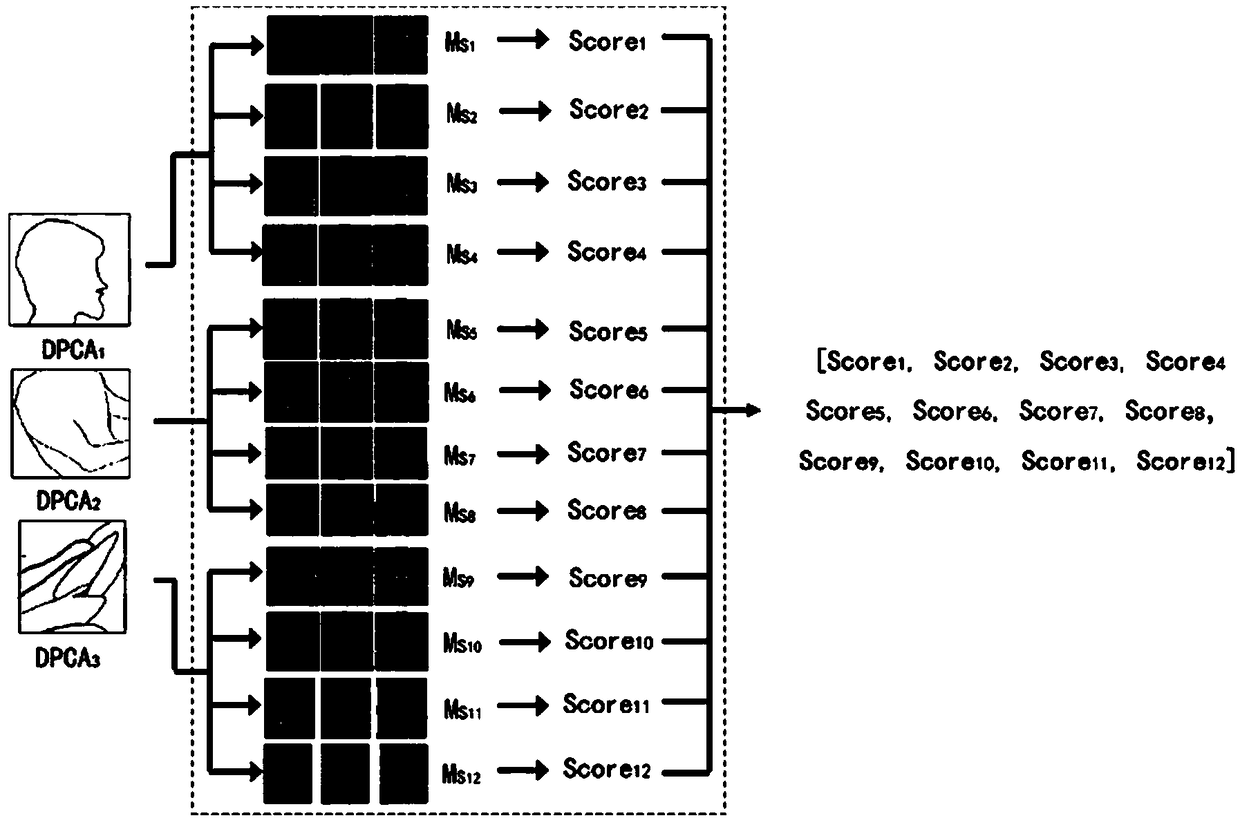 Driving attitude recognition method based on fusion feature of local deformable component model