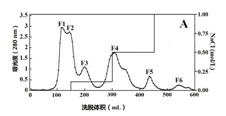 Minced tuna protein antioxidative peptide and its preparation method and use