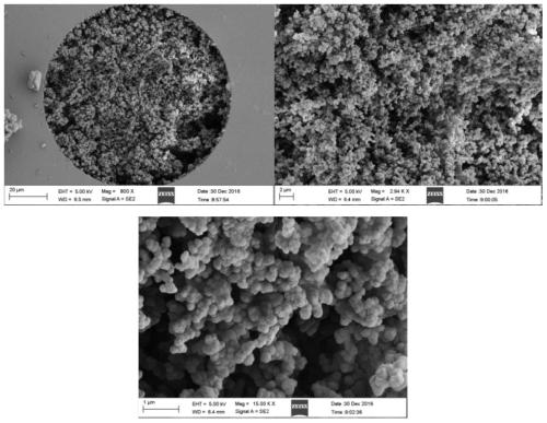 A kind of biomimetic small peptide ligand-based affinity-enriched monolithic material and its preparation and application