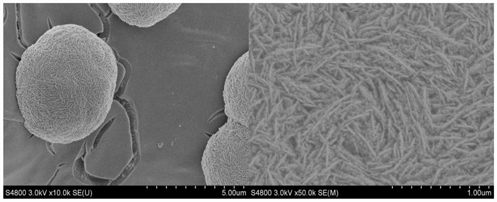 An efficient ni/ni(oh)  <sub>2</sub> Hydrogen evolution electrode and preparation method thereof