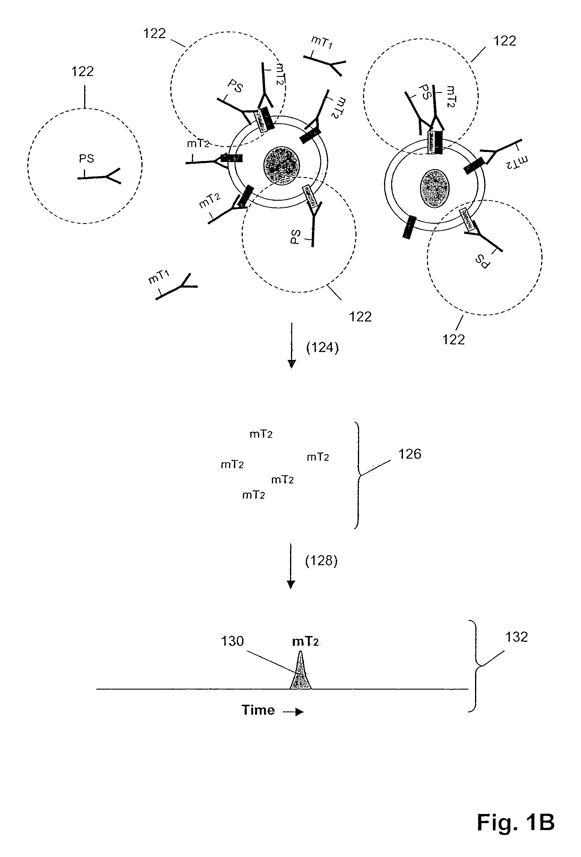 Profiling frequencies of receptor heterodimers