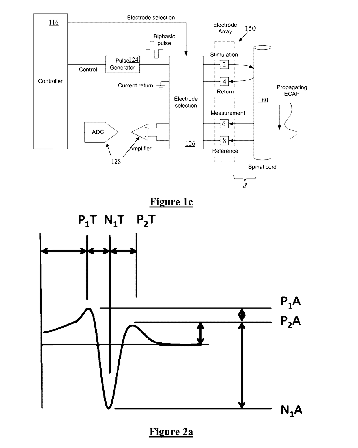 Assessing Neural State from Action Potentials