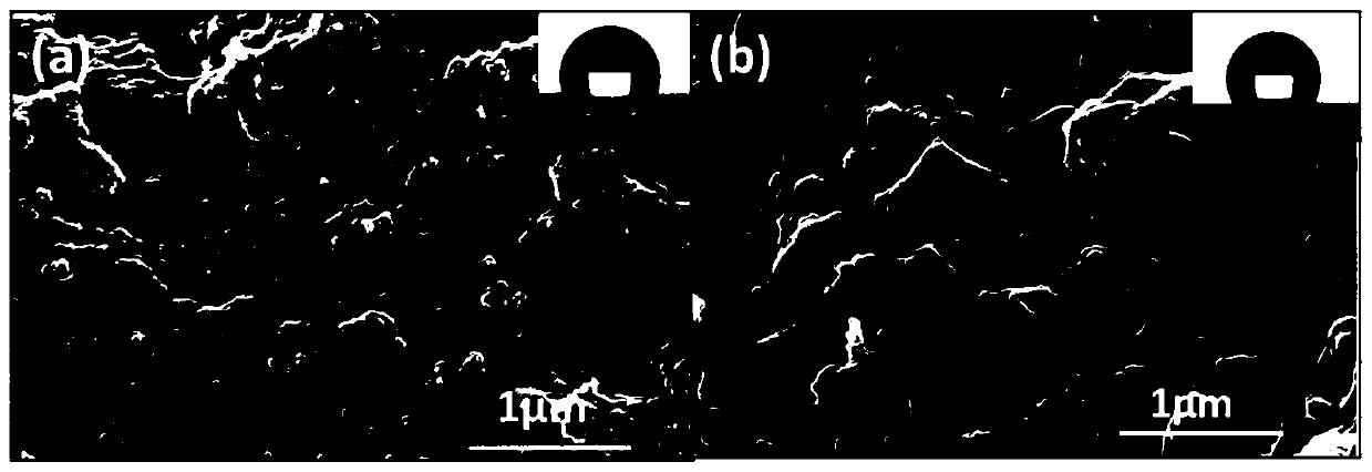 Fluorinated polyurethane coating and preparation method of super-hydrophobic coating