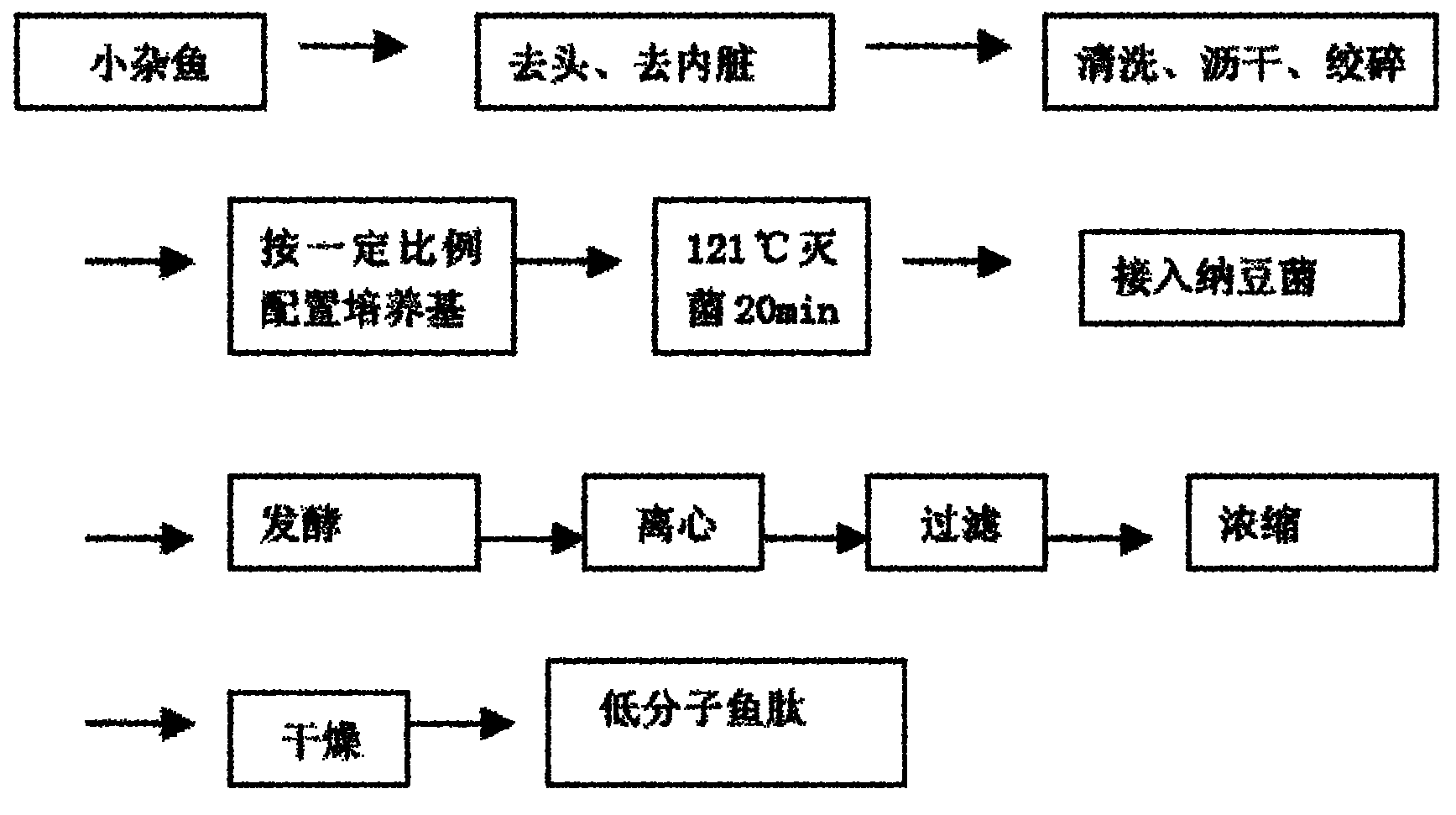 Method for preparing low molecular weight fish peptide through Bacillus natto fermentation method