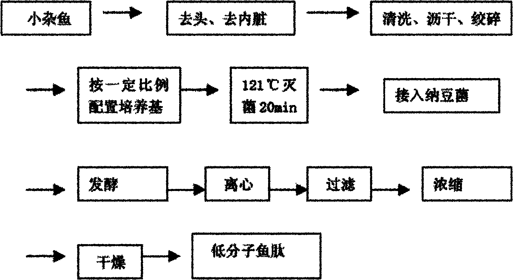 Method for preparing low molecular weight fish peptide through Bacillus natto fermentation method