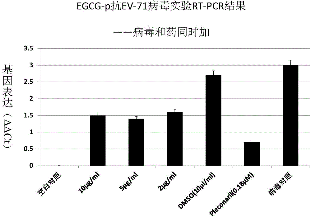 Application of EGCG palmitate in preparing medicines for treating or preventing human enterovirus 71 infection