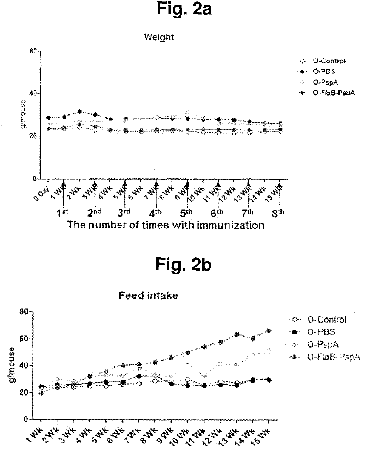 Composition comprising recombinant fusion protein of pathogenic antigen protein and flagellin of vibrio vulnificus for preventing, alleviating, or treating aging