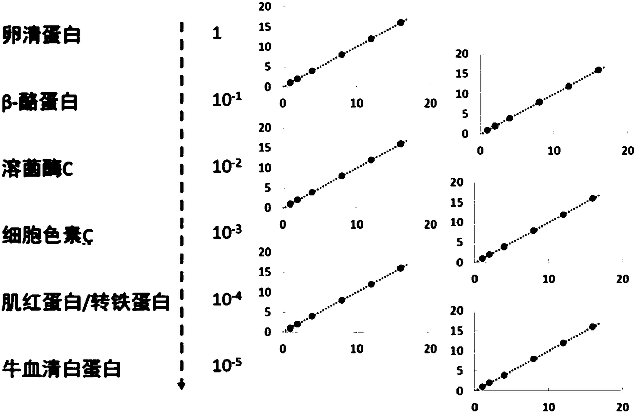 Absolute quantification method based on dimethylated multiple labeling and characteristic fragment ions