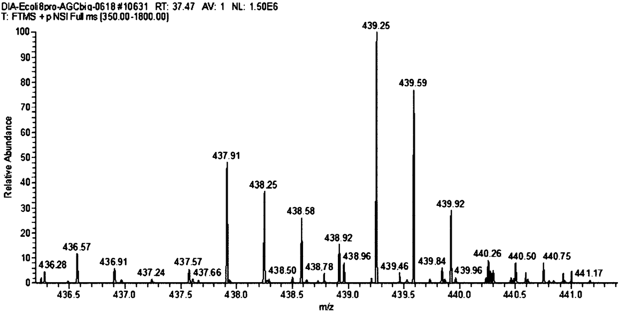 Absolute quantification method based on dimethylated multiple labeling and characteristic fragment ions