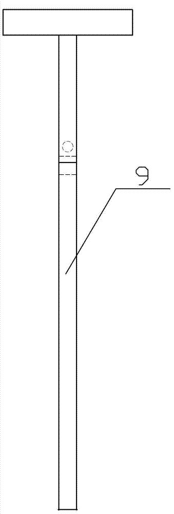 Obstetric apparatus for pig