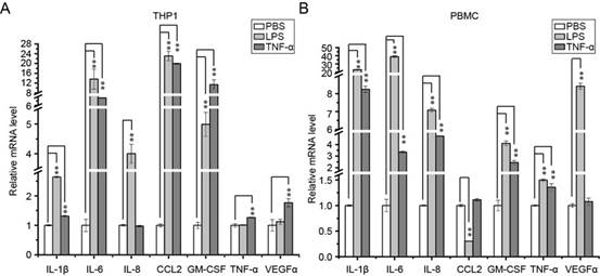 Application of 1,2,4 triazolo 4,3-B pyridazine derivative in preparation of anti-inflammatory factor storm drugs