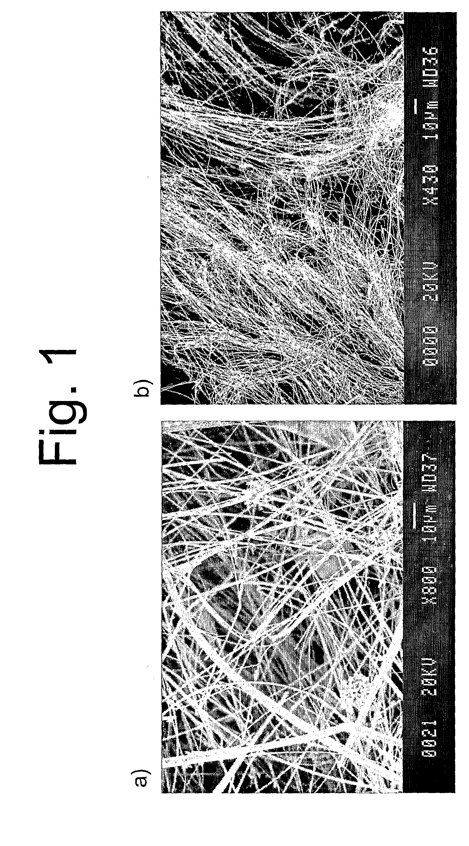 Quasi-One-Dimensional Polymers Based on the Metal-Chalcogen-Halogen System