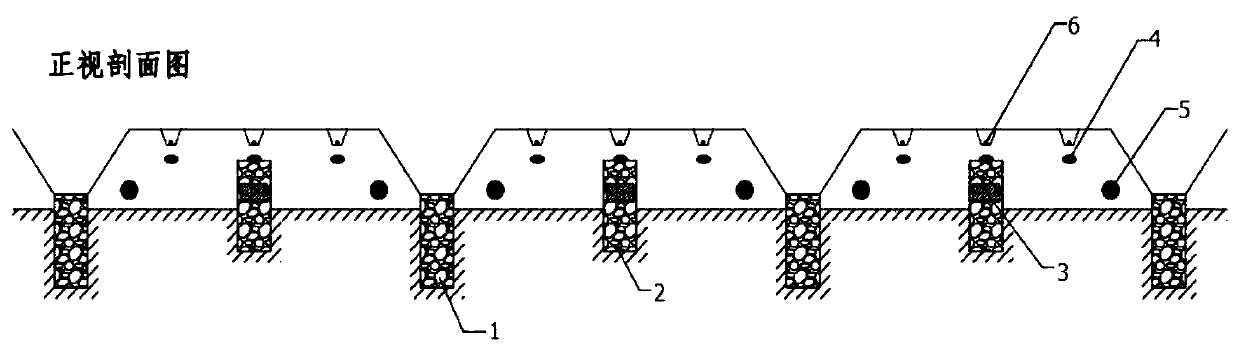 A method for cultivating kidney beans on a large ridge platform