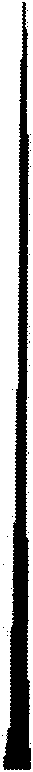 Method for separating X sperm and Y sperm of pig