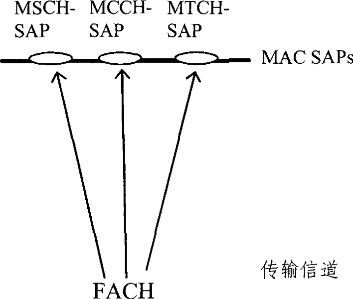 MBMS transmission method and device for multi-carrier wave mobile communication system