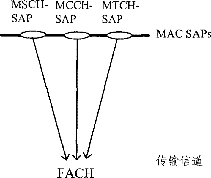 MBMS transmission method and device for multi-carrier wave mobile communication system