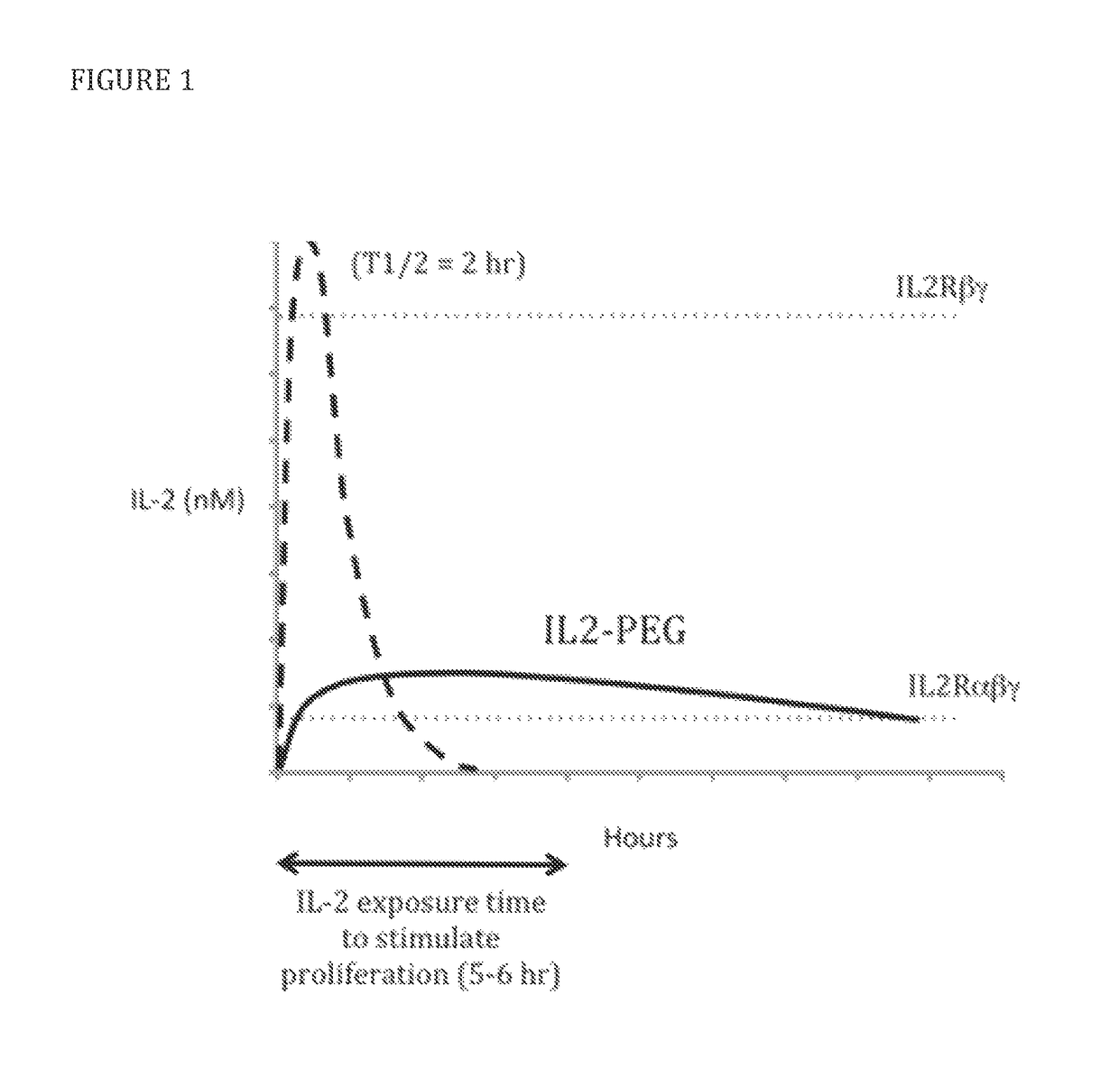 Modified IL-2 variants that selectively activate regulatory T cells