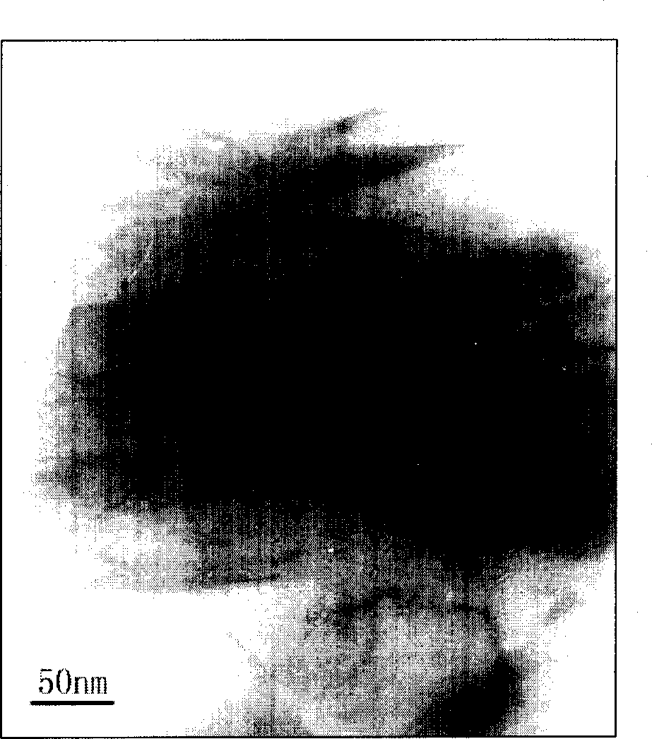 Process for preparing organic modified clay and styrene butadiene rubber nano composite material