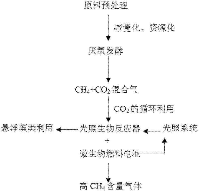 A high-value utilization method of carbon dioxide in biogas