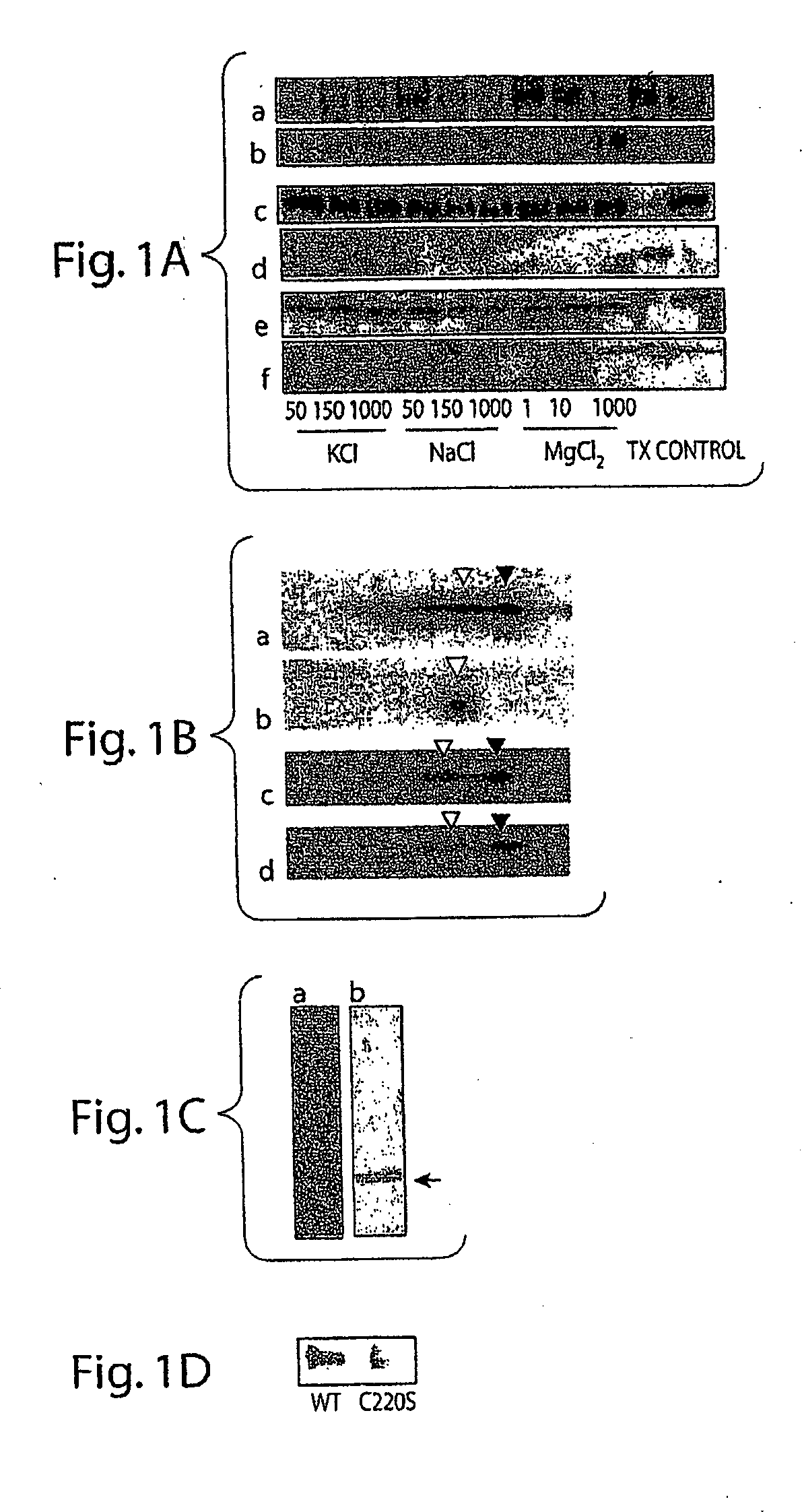 Quinolinone farnesyl transferase inhibitors for the treatment of synucleinopathies and other indications