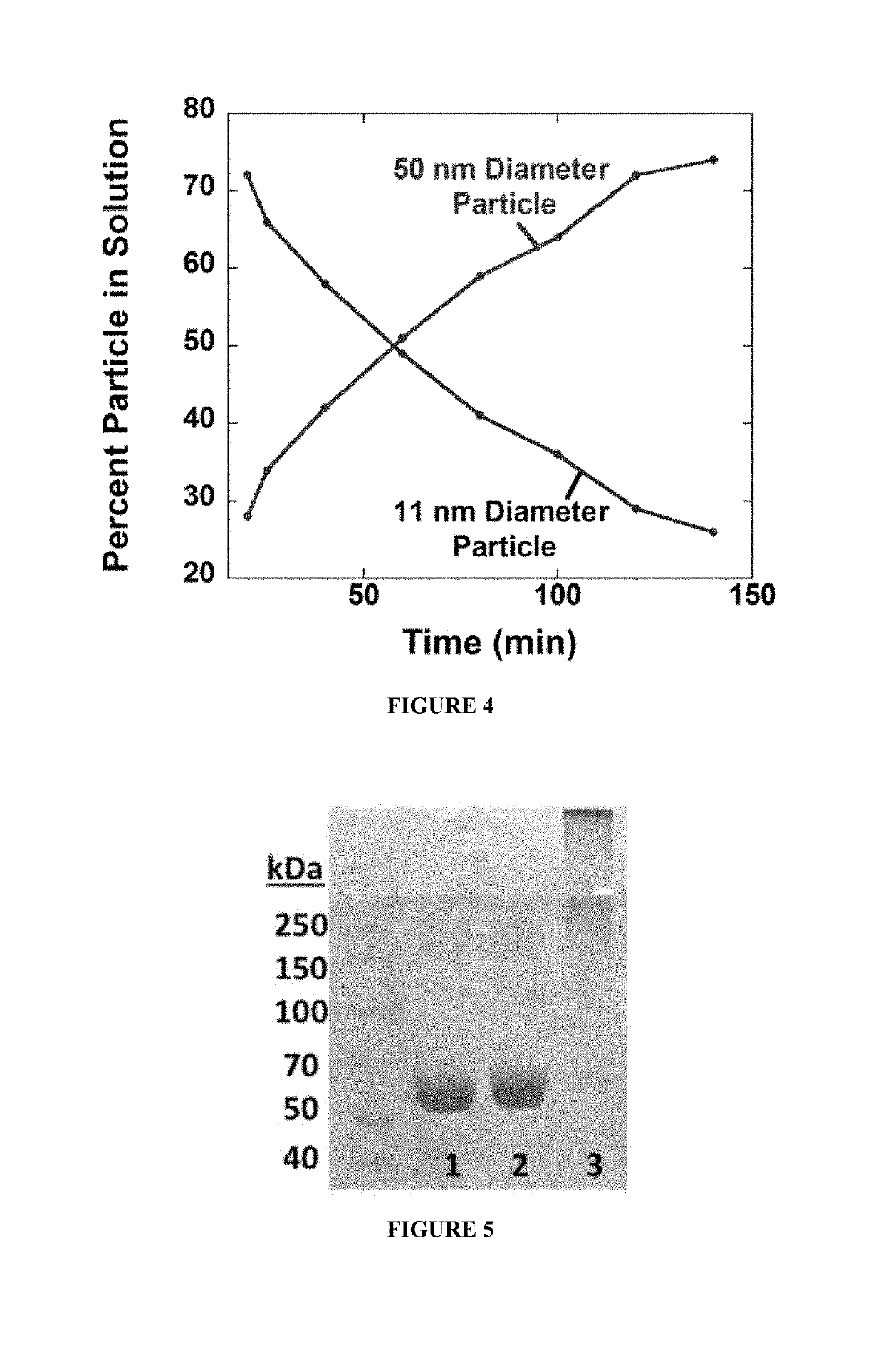 Protein fluorescent nanoparticles and methods of synthesis thereof