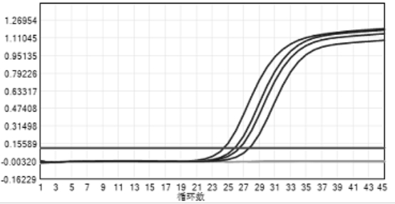 Method for quickly detecting cryptococcus gatticus