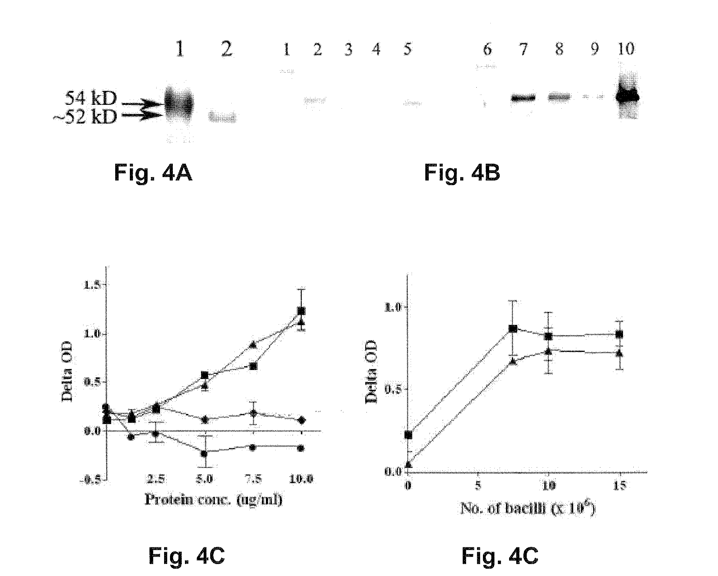 Immunodominant mycobacterium tuberculosis peptides from cell wall proteins for early diagnosis and immunization