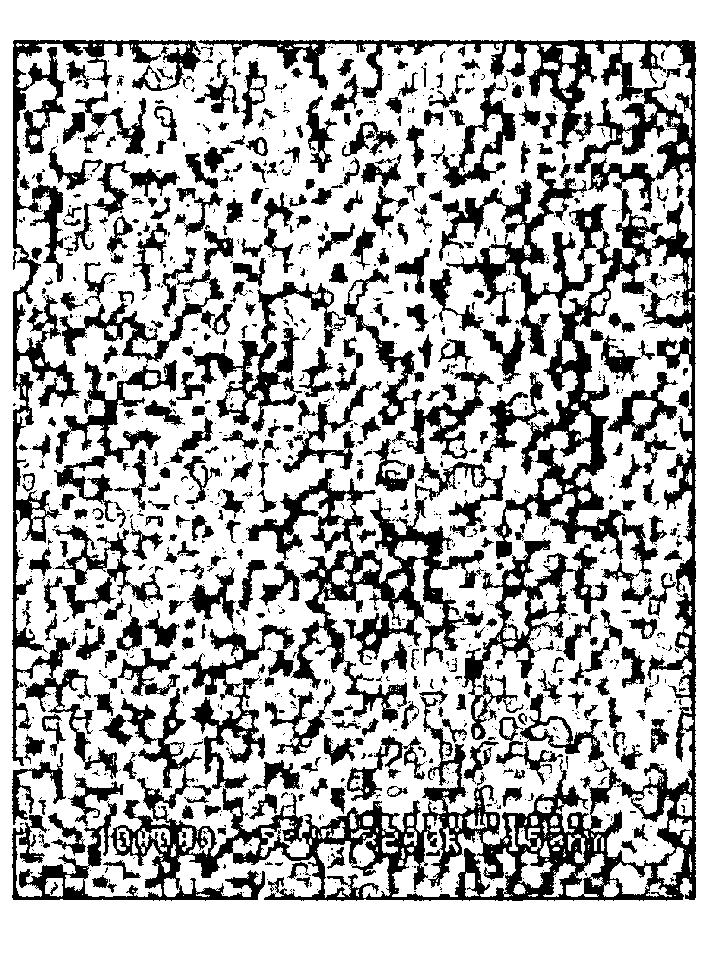 Conductive paste