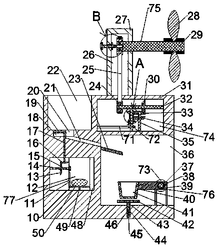 Wind-power fish food thrower