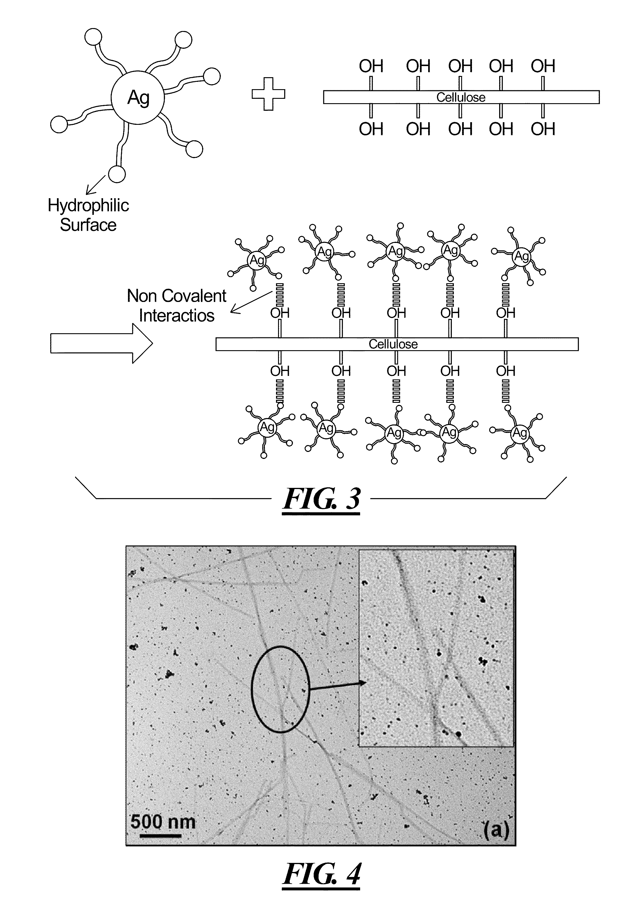 Surfactant-Assisted Inorganic Nanoparticle Deposition on a Cellulose Nanocrystals