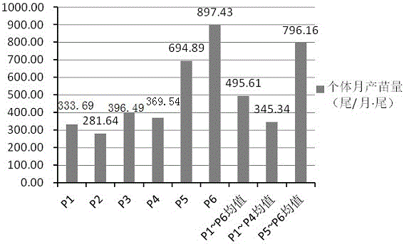 High-reproduction type Nile tilapia and blue tilapia cross-breeding line selection method