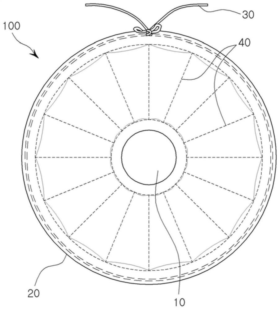 Elizabethan collar for companion animal