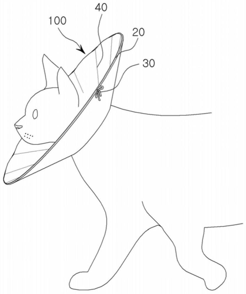 Elizabethan collar for companion animal