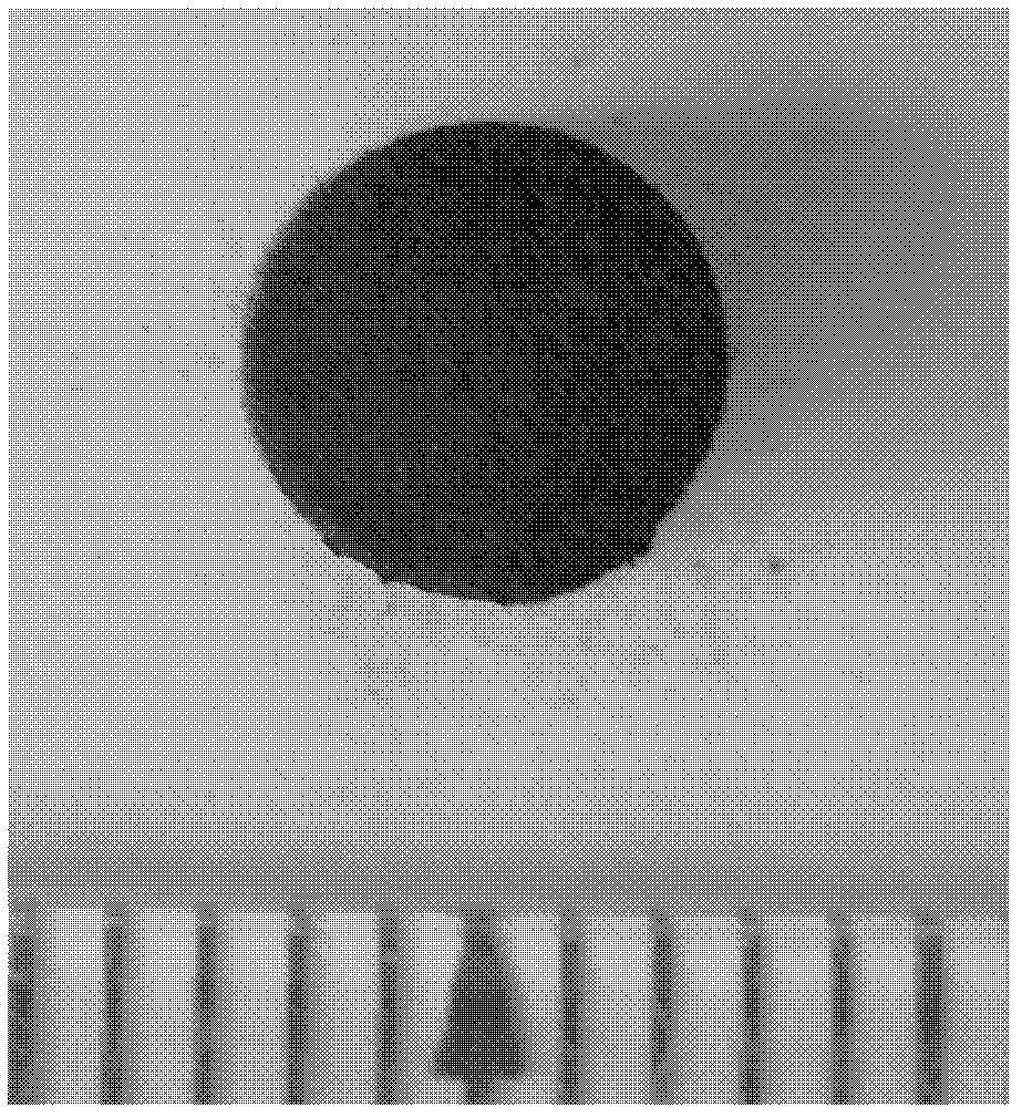 Method for manufacturing iron-based superconductor by using SPS (Spark Plasma Sintering) technology